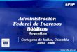 Cartagena de Indias, Colombia - Junio 2006 Administración Federal de Ingresos Públicos República Argentina
