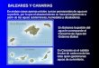 BALEARES Y CANARIAS En Baleares la gestión del agua le corresponde al Consorcio de Agua del Gobierno Balear En Canarias es el cabildo insular de cada una