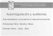 Autorregulación y auditorias Área Académica: Licenciatura en ingeniería Industrial Profesor(a): Pérez Sánchez Blasa Periodo: Enero – Junio - 2015