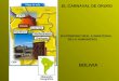 EL CARNAVAL DE ORURO ( PATRIMONIO ORAL E INMATERIAL DE LA HUMANIDAD) BOLIVIA