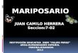 JUAN CAMILO HERRERA Seccion:7-02 Seccion:7-02 INSTITUCIÓN EDUCATIVA INEM “FELIPE PEREZ” AREA:HUMANIDADES ESPAÑOL PEREIRA-RISARADA PEREIRA-RISARADA2013