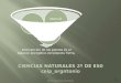 Profesor: Manuel Jesús Virella Sánchez 1 Intervención de las plantas en el balance energético del planeta Tierra. RespiraciónFotosíntesisNutrición