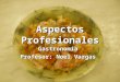 Aspectos Profesionales Gastronomía Profesor: Noel Vargas