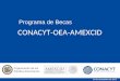 CONACYT-OEA-AMEXCID 14 de noviembre de 2013 Programa de Becas