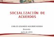 SOCIALIZACIÓN DE ACUERDOS CARLOS EDUARDO AGUIRRE RIVERA Docente Julio de 2015