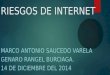 RIESGOS DE INTERNET MARCO ANTONIO SAUCEDO VARELA GENARO RANGEL BURCIAGA. 14 DE DICIEMBRE DEL 2014