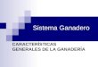 Sistema Ganadero CARACTERÍSTICAS GENERALES DE LA GANADERÍA