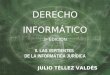 JULIO TÉLLEZ VALDÉS DERECHO INFORMÁTICO 3 a EDICIÓN II. LAS VERTIENTES DE LA INFORMÁTICA JURÍDICA