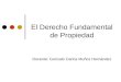 El Derecho Fundamental de Propiedad Docente: Gonzalo Carlos Muñoz Hernández