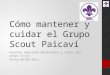 Cómo mantener y cuidar el Grupo Scout Paicaví Reunión Ampliada Apoderados y Jefes del grupo Scout Fecha 06/05/2015