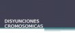 DISYUNCIONES CROMOSOMICAS. LAS DISYUNCIONES CROMOSOMICAS ES LA CORRECTA SEGREGACION DE LOS CROMOSOMAS HOMOLOGOS EN LA MEIOSIS 1. POR ENDE, LAS NO-DISYUNCIONES