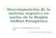 Descomposición de la materia orgánica en suelos de la Región Andino Patagónica MANEJO Y CONSERVACIÓN DE SUELOS 2010 Juan Serwatowski y Alejandro Maggio