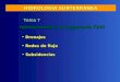Aplicaciones a la Ingeniería Civil Drenajes Drenajes Redes de flujo Redes de flujo Subsidencias Subsidencias Tema 7 HIDROLOGÍA SUBTERRÁNEA