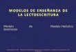 Modelo de Destrezas Modelo Holístico Universidad de Chile – Programa de Educación Continua para el Magisterio – Jornadas de Actualización para Profesores