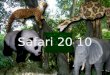 Safari 20 10. SAFARI NORDELTA 2010 TEMATICA DEL EVENTO Invitar a que en Familia realicen un viaje por la selva, donde los grandes van a vivenciar cómo