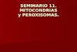 SEMINARIO 11. MITOCONDRIAS y PEROXISOMAS.. TAMAÑO Y MICROSCOPIA OPTICA