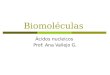 Biomoléculas Ácidos nucleicos Prof: Ana Vallejo G