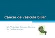 Cáncer de vesícula biliar Int. Valentina Cisterna Carrera Dr. Carlos Alvarez