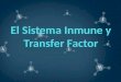 Sistema Inmune Torre de Control Protección: H, V, B, P Células especializadas
