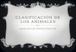 CLASIFICACIÓN DE LOS ANIMALES EJERCICIO DE POWER POINT #1