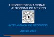 INTELIGENCIA DE NEGOCIOS Agosto 2010 UNIVERSIDAD NACIONAL AUTONOMA DE MEXICO