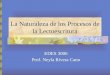 La Naturaleza de los Procesos de la Lectoescritura EDES 3006 Prof. Neyla Rivera Cano