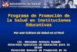 Programa de Promoción de la Salud en Instituciones Educativas Por una Cultura de Salud en el Perú Lic. Mercedes Arévalo Guzmán Directora Ejecutiva de Educación