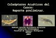 Coleópteros Acuáticos del Cusco: Reporte preliminar. Abdhiel Arnaldo Bustamante Navarrete Colección Entomológica Facultad de Ciencias Biológicas UNSAAC