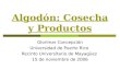Algodón: Cosecha y Productos Glorimar Concepción Universidad de Puerto Rico Recinto Universitario de Mayagüez 15 de noviembre de 2006