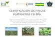 CERTIFICACIÓN DE FINCAS PLATANERAS EN BPA. La certificación en BPA es un reconocimiento que el ICA hace a los agricultores que implementan en sus fincas
