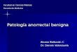Patología anorrectal benigna Alonso Bolbarán C Dr. Dennis Valenzuela Facultad de Ciencias Médicas Escuela de Medicina