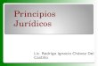 PrincipiosJurídicos Lic. Rodrigo Ignacio Chávez Del Castillo