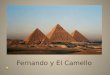 Fernando y El Camello. Habia una vez un Chico que se llamaba Fernando que vivia Egipto. El trababa camello rancho