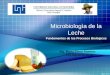 Microbiologìa de la Leche Fundamentos de los Procesos Biológicos Ing. María Elena Ramírez 1T1 Agroindustrial