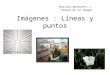 Imágenes : Líneas y puntos Marcela Boschetti J. Teoría de la imagen