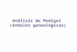 Análisis de Pedigrí (Arboles genealógicos). Análisis de genes autosómicos recesivos