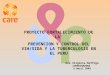 PROYECTO FORTALECIMIENTO DE LA PREVENCION Y CONTROL DEL VIH/SIDA Y LA TUBERCULOSIS EN EL PERU Dra Virginia Baffigo COORDINADORA 6 abril 2005
