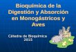 Bioquímica de la Digestión y Absorción en Monogástricos y Aves Cátedra de Bioquímica 2015