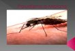 Definición El paludismo produce una morbilidad y mortalidad significativa en las regiones subdesarrolladas del mundo, las formas mas potencialmente