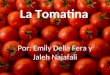 La Tomatina Por: Emily Della Fera y Jaleh Najafali