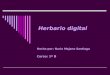 Hecho por: Nuria Majano Santiago Curso: 1º B Herbario digital