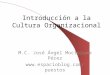 Introducción a la Cultura Organizacional M.C. José Ángel Moctezuma Pérez 