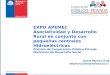 EXPO APEMEC Asociatividad y Desarrollo Rural en conjunto con pequeñas centrales Hidroeléctricas División de Cooperación Público-Privada Ministerio de Desarrollo