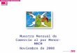 Muestra Mensual de Comercio al por Menor- MMCM Noviembre de 2008