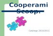 Cooperami Scoop. Catálogo 2010/2011. Cocodrilos de colores