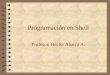 Programación en Shell Profesor: Héctor Abarca A