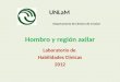 Hombro y región axilar UNLaM Departamento de Ciencias de la Salud Laboratorio de Habilidades Clínicas 2012