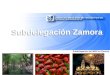 Subdelegación del IMSS en Zamora Subdelegación Zamora