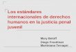 Los estándares internacionales de derechos humanos en la justicia penal juvenil Mary Beloff Diego Freedman Martiniano Terragni