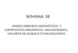 SEMANA 18 HIDROCARBUROS AROMTICOS Y COMPUESTOS ORGNICOS HALOGENADOS, HALUROS DE ALQUILO “ HALOALCANOS 1